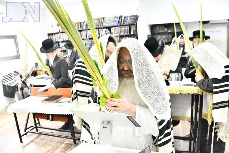 הושענא רבא בחצה''ק זוטשקא אמסנא תשפ''ו צילום שוקי לרר (3)