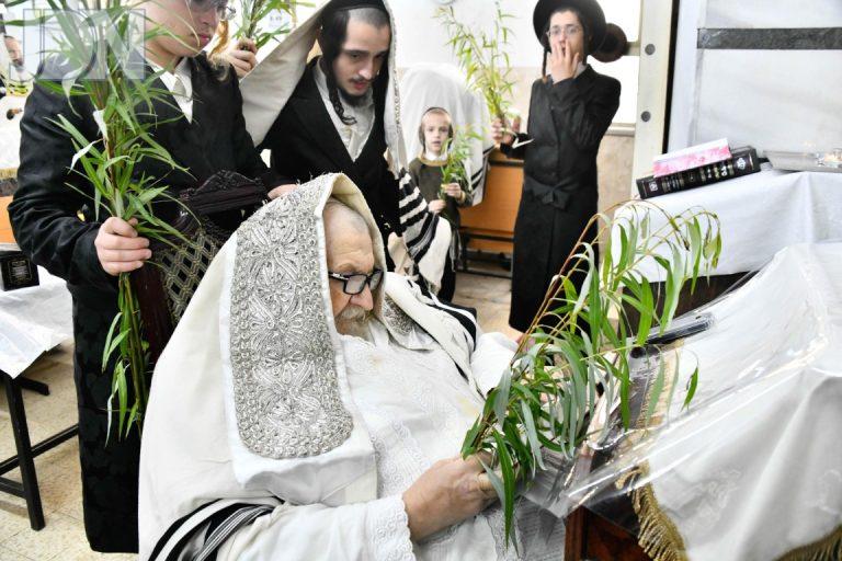 הושענא רבא בחצה''ק טמשווער תשפ''ו צילום שוקי לרר (2)