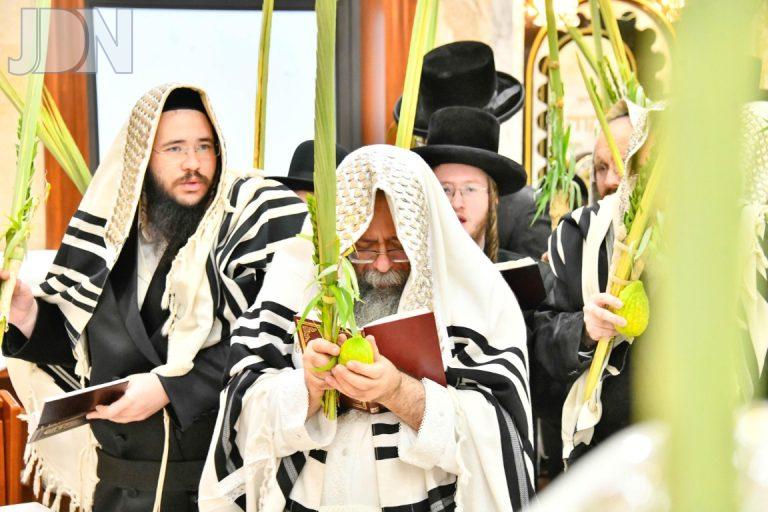 הושענא רבא בחצרה''ק שבט הלוי תשפ'ו צילום שוקי לרר (5)