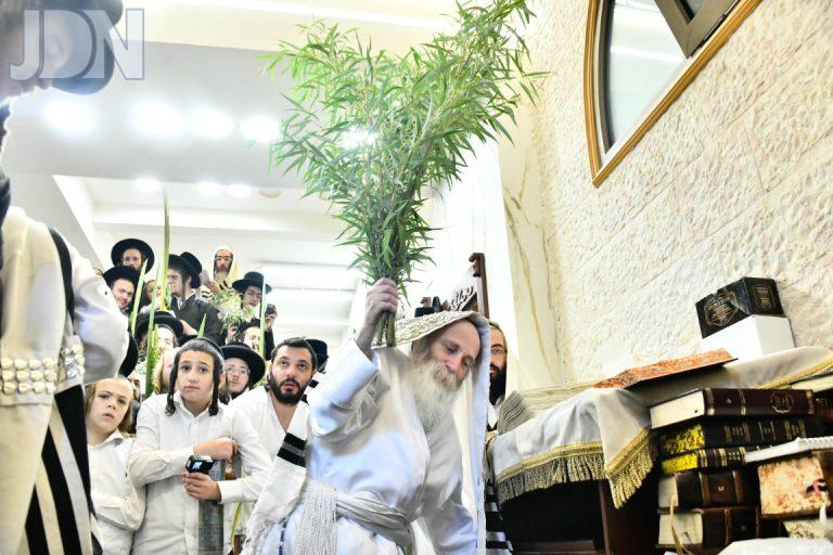 הושענא רבא הגרי''מ מורגנשטרן תורת חכם תשפ''ו צילום שוקי לרר (13)