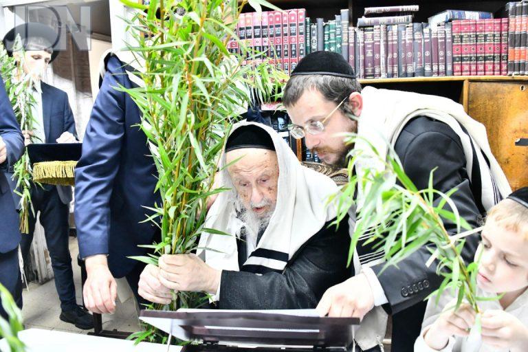 הרב פוברסקי הושענא רבא צילום שוקי לרר (16)