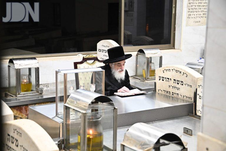ויז'ניץ בציון אדמור''י ויז'ניץ (10)
