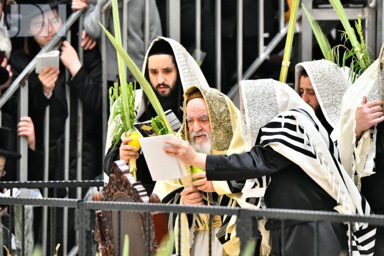 ויז'ניץ הושענא רבא (15)