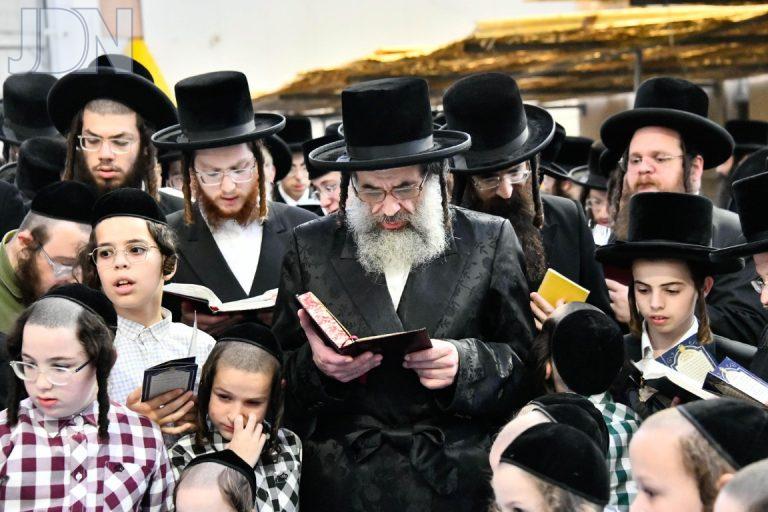 ויזניץ תשליך (7)