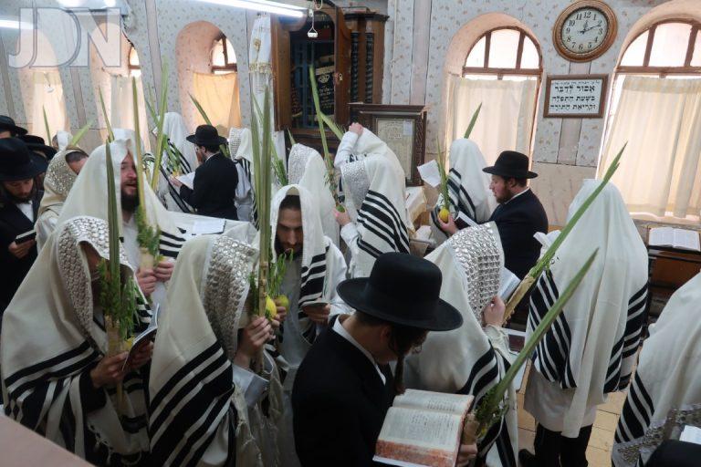 חג הסוכות בחצה''ק מבקשי אמונה צילום שימי פ