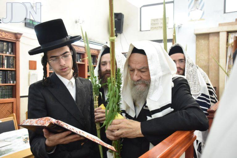 חג הסוכות בחצר הקודש אשלג צילום יהודה פרקוביץ (12)