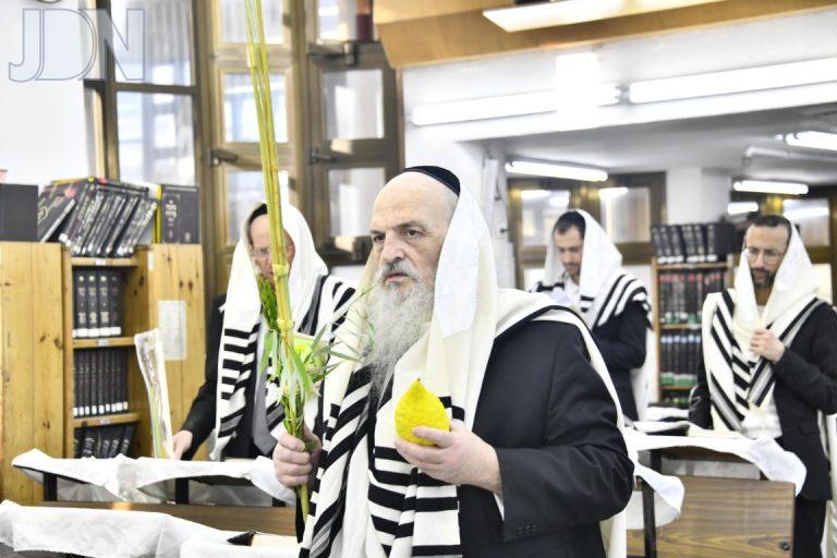 נענועים הרב פיינשטיין חג הסוכות תשפ''ו צילום שוקי לרר (6)