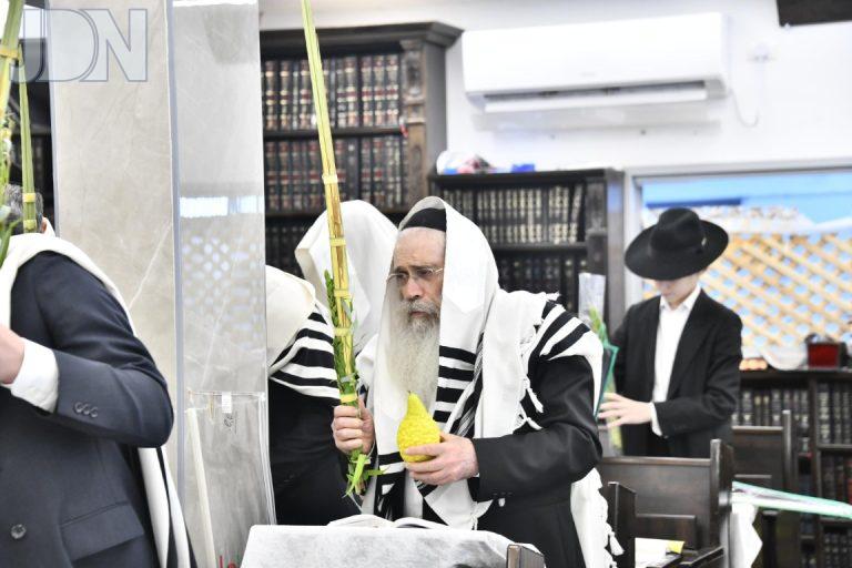 נענועים הרב שטיינמן חג הסוכות תשפ''ו צילום שוקי לררattachments (8)
