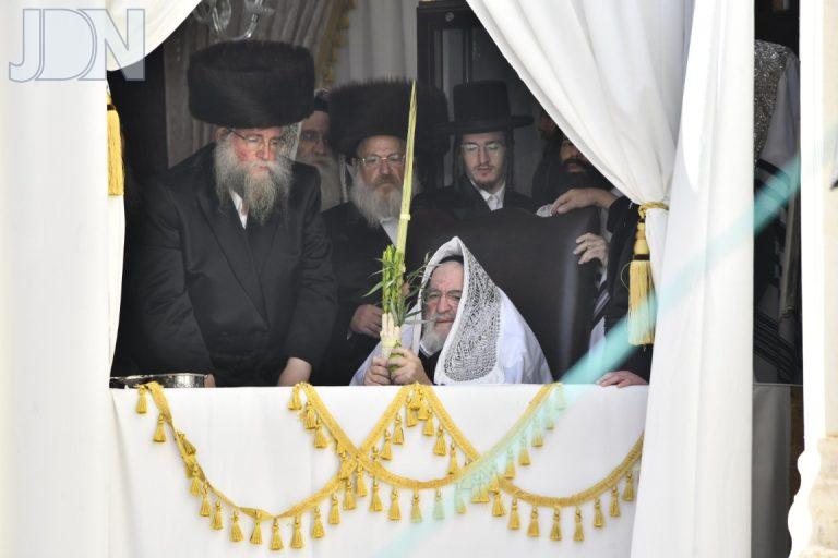 נענועים ויזניץ חג נסוכות תשפ''ו צילום שוקי לרר (5)