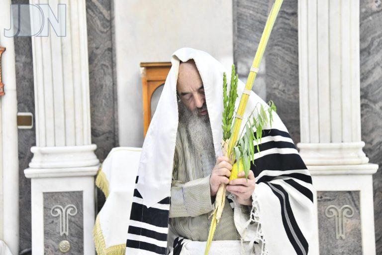 נענועים לעלוב חג נסוכות תשפ''ו צילום שוקי לרר (9)