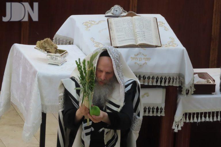 סוכות תשפ''ו והקפות שניות בחצר הקודש אונגוואר (1)