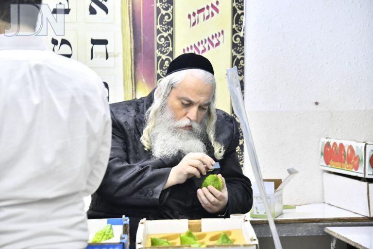 ערב חג סוכות בבני ברק צילום לרר (49)