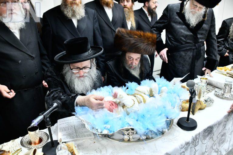 פדיון הבן מודז'יץ זוועהיל צילום שוקי לרר (25)