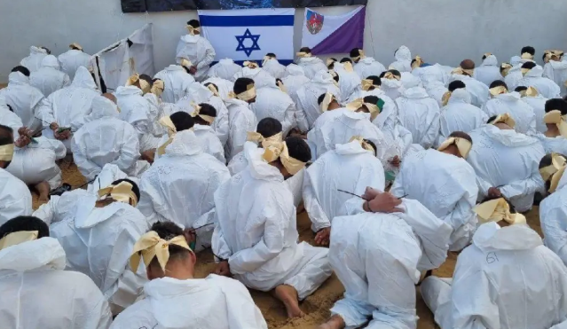 צילום מסך 2025-10-29 145125
