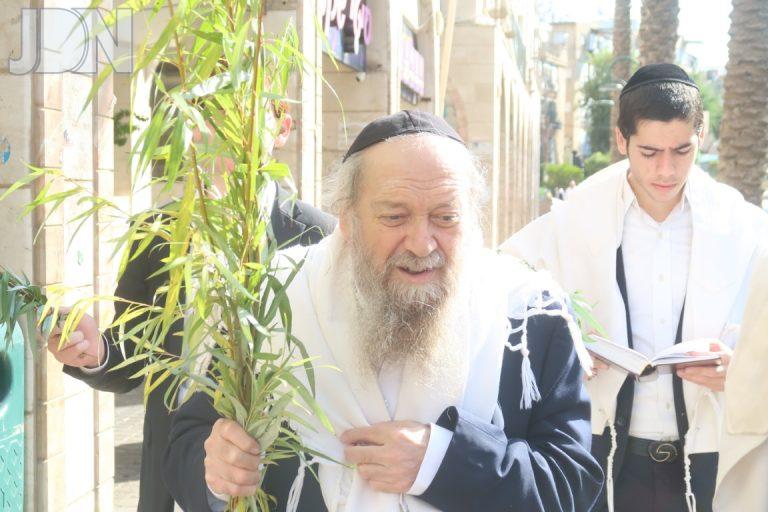 רבי דוד בצרי במצוות חיבוט הערבה צילום ש.פ