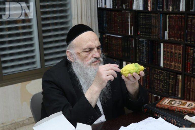 רבי חיים פיינשטיין בבדיקת ארבעת המינים (4)