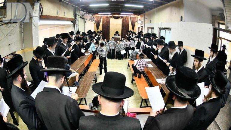 שבט הלוי תשליך (3)