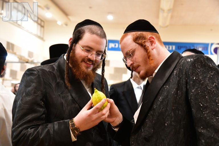 שוק ארבעת המינים באשדוד צילום יוסי לוי (104)