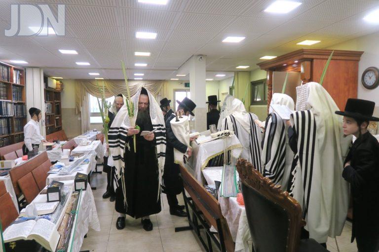 שמחת חג מוצאי יו''ט סוכות ותפילת ההלל וההושענות בחצר הקודש טמעשוואר אלעד צילום מ