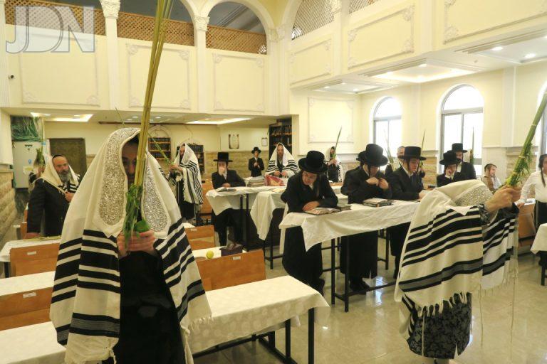 תפילת ההלל וההושענות בחצר הקודש נדבורנה אלעד (4)