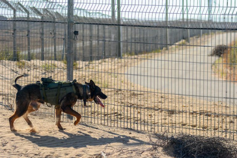ISRAEL ARMY