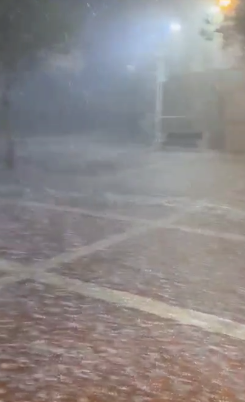 צילום מסך 2025-11-13 190614