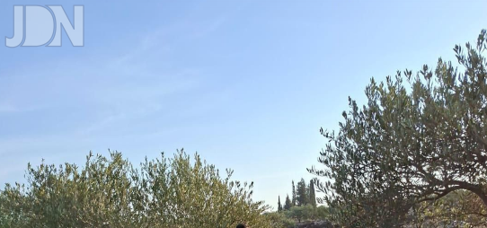 צילום מסך 2025-11-20 153056