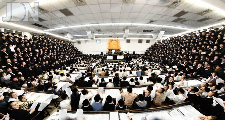ראחמסטריווקא קרישמע ליינען (18)