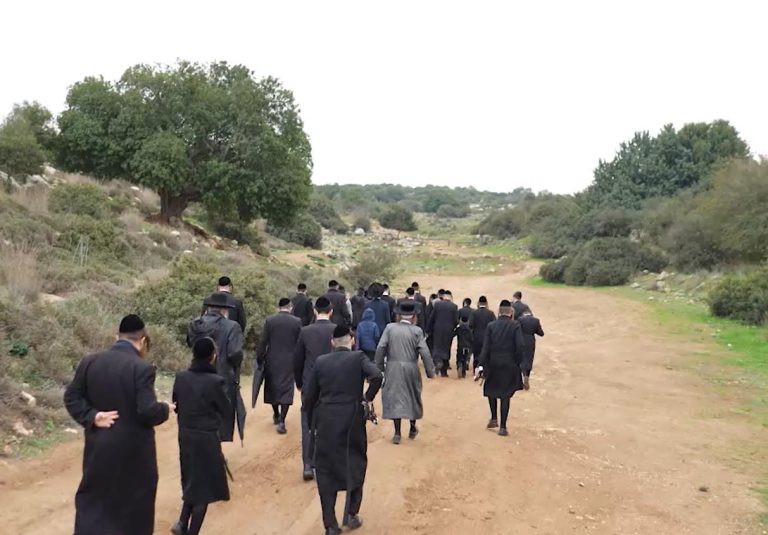אור עולם