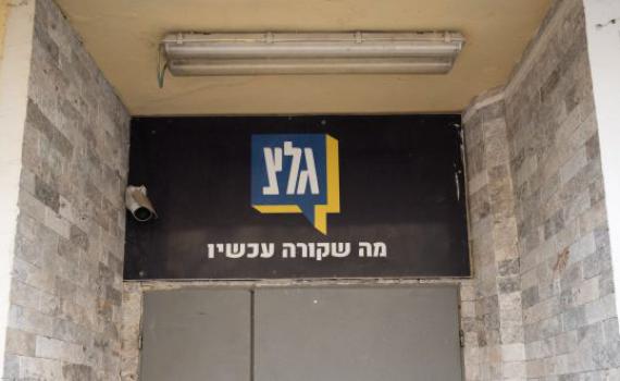 גלי צהל