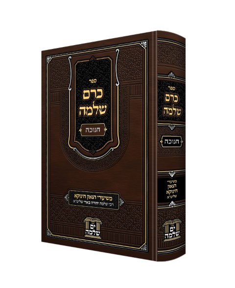 __________כרם שלמה - הדמיה6 (1)