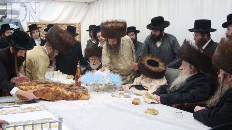 פדיון הבן תולדות אברהם יצחק- טשארנאביל- קאלוב צילום שימי פ