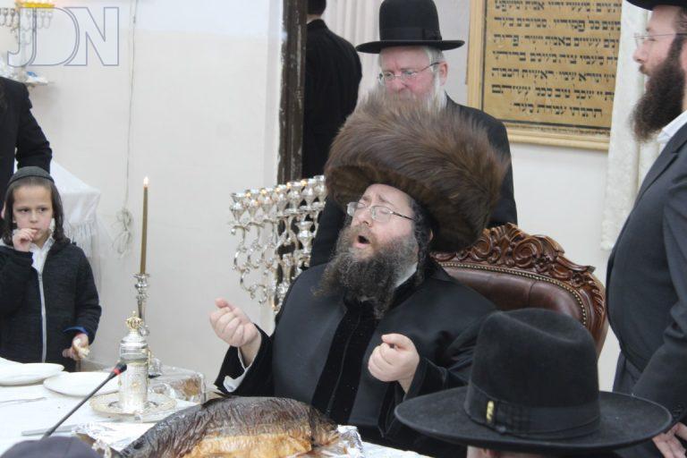 צאנז ז'מיגראד חנוכה פו (8)