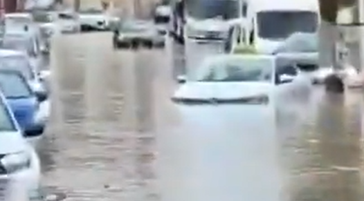 צילום מסך 2025-12-11 135536