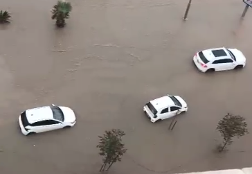 צילום מסך 2025-12-11 144818