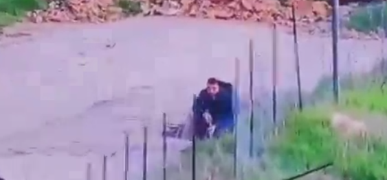 צילום מסך 2025-12-27 180746
