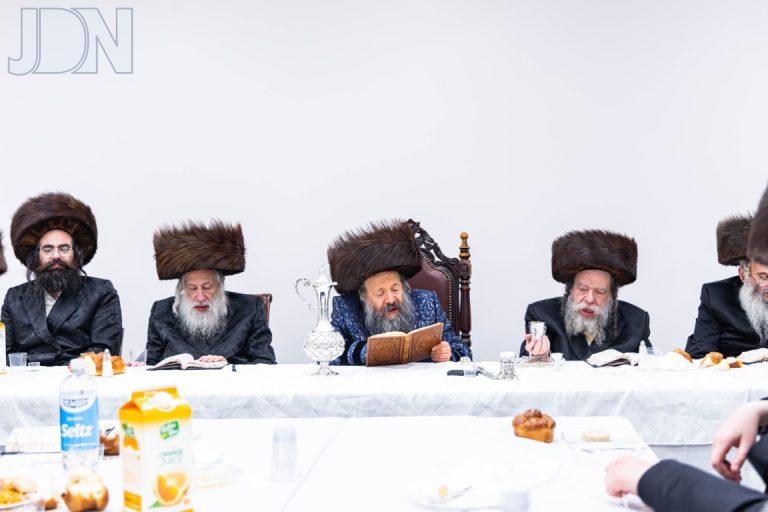 באבוב 45 סטריזוב ברית (11)