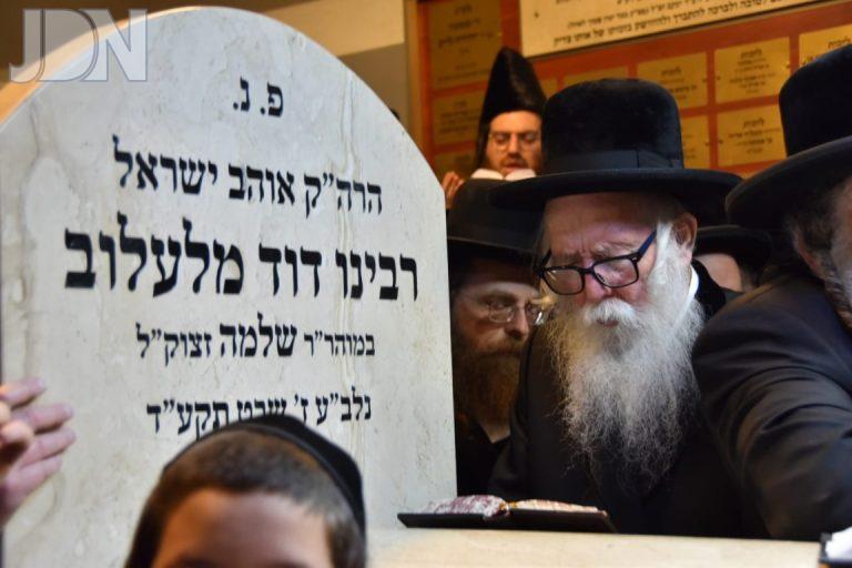 הילולא של ר' דוד מלעלוב בעיירה לעלוב בפולין צילום י.ש
