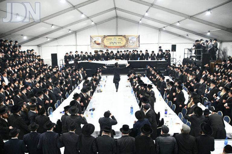 לעלוב (94)