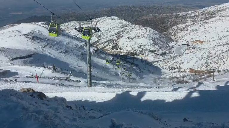 צילום מסך 2026-01-19 112141