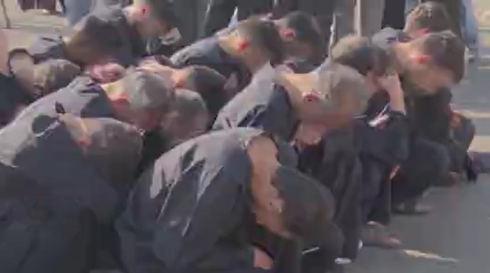 צילום מסך 2026-01-23 133616
