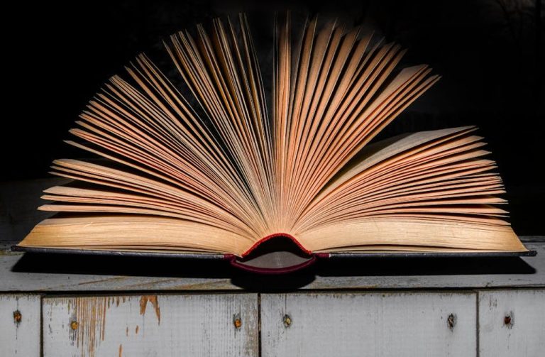 literature-book-open-pages-1005324_1771933086547