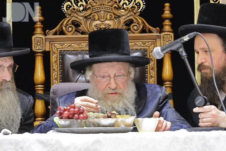 חיפה טיש ט''ו בשבט בחצה''ק נאדבורנא צילום שמואל שנקר (10)