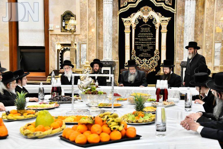 ט''ו בשבט בחצהה''ק שבט הלוי תשפ'''ו צילום שוקי לרר (3)