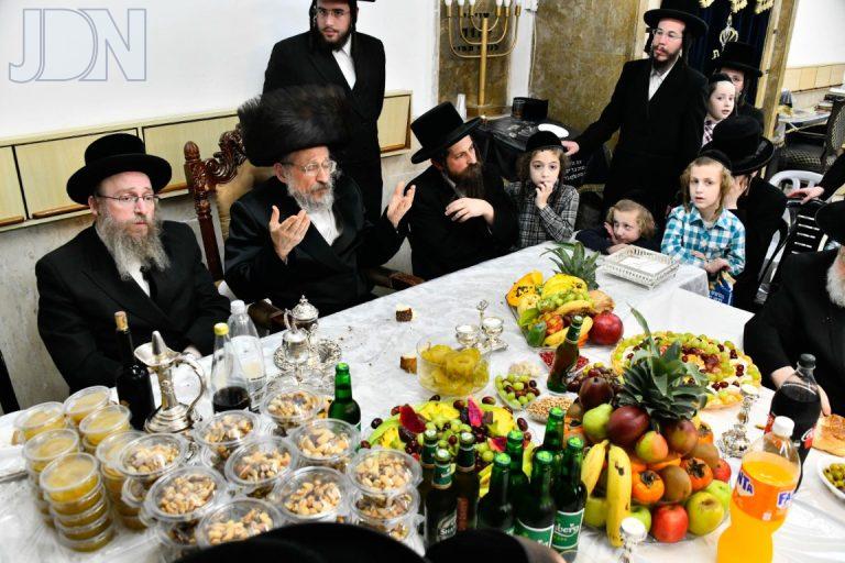 ט''ו בשבט בחצה''ק אנטניא תשפ''ו צילום שוקי לרר (2)