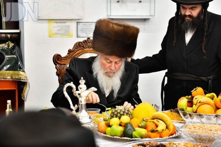 ט''ו בשבט בחצה''ק וואסלוי תשפ''ו (7)