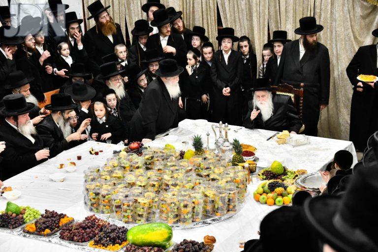 ט''ו בשבט בחצה'''ק מכנובקא בעלזא תשפ''ו צילום שוקי לרר (6)
