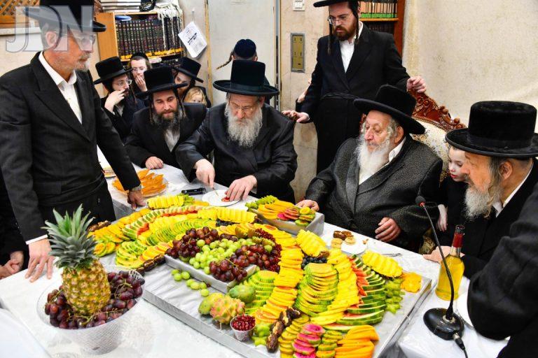 ט''ו בשבט בחצה''ק נארול תשפ''ו צילום שוקי לרר (8)