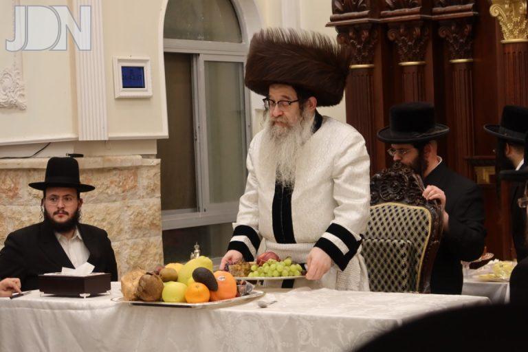 ט''ו בשבט בחצה''ק נדבורנה אלעד, צילום מ.ש