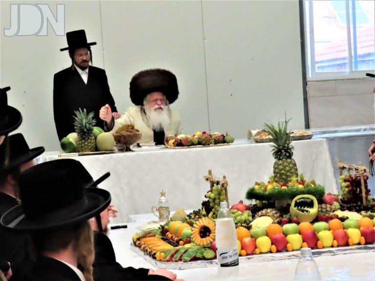 ט''ו בשבט בחצה''ק נדבורנה ירושלים צילום שימי פ